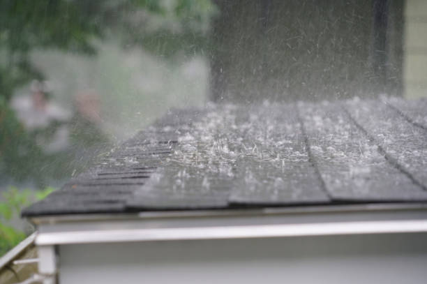 Best Metal Roofing Installation  in Lexington, VA